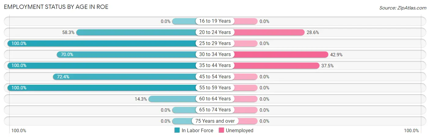 Employment Status by Age in Roe