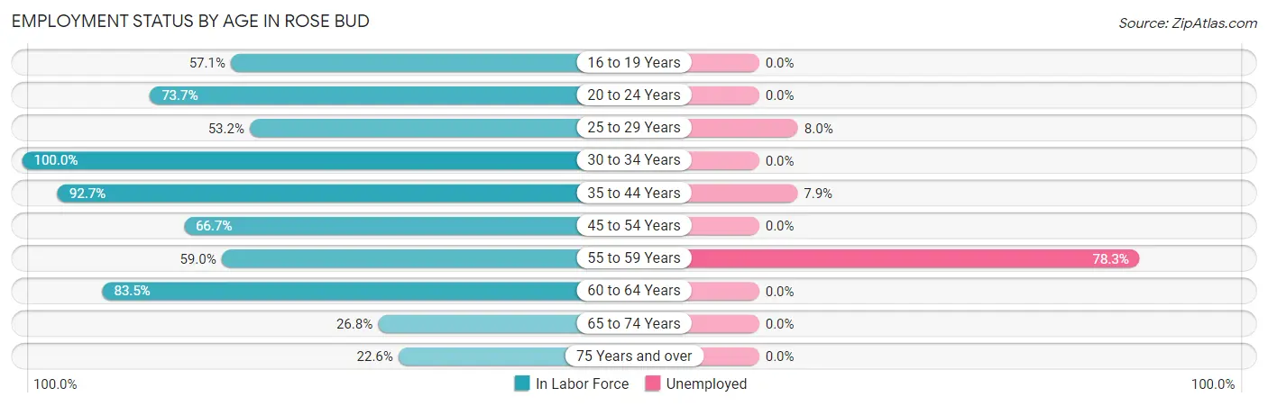 Employment Status by Age in Rose Bud