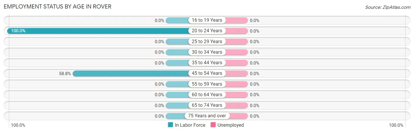 Employment Status by Age in Rover