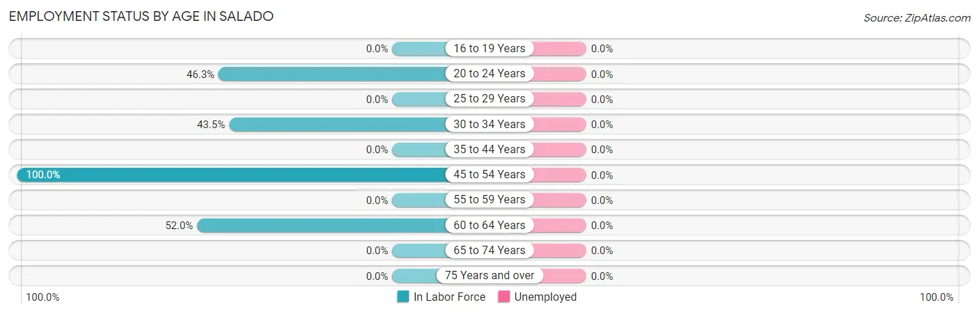 Employment Status by Age in Salado