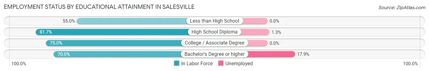 Employment Status by Educational Attainment in Salesville
