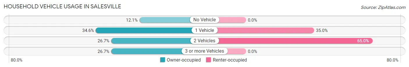 Household Vehicle Usage in Salesville