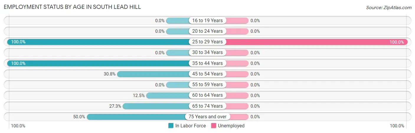 Employment Status by Age in South Lead Hill
