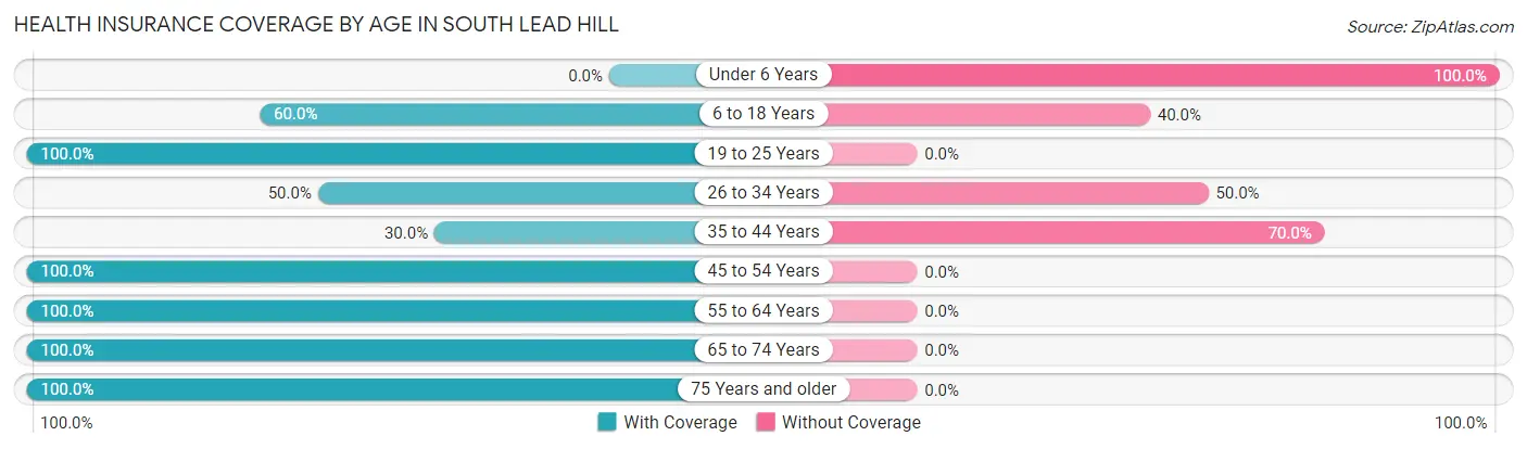 Health Insurance Coverage by Age in South Lead Hill