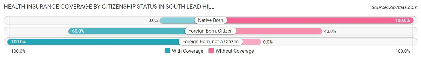 Health Insurance Coverage by Citizenship Status in South Lead Hill