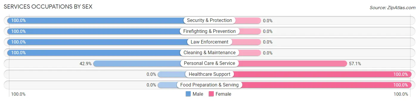 Services Occupations by Sex in Stephens