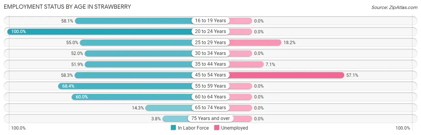 Employment Status by Age in Strawberry