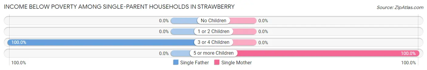 Income Below Poverty Among Single-Parent Households in Strawberry