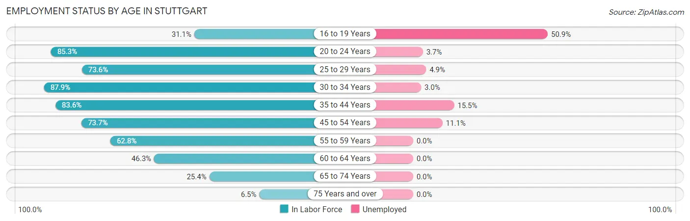 Employment Status by Age in Stuttgart