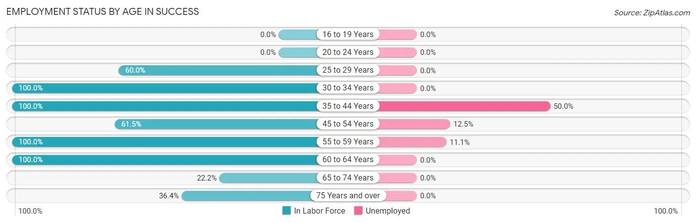 Employment Status by Age in Success