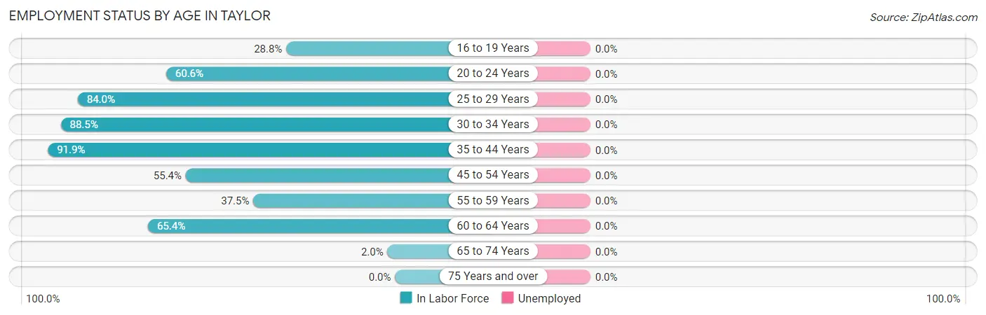 Employment Status by Age in Taylor
