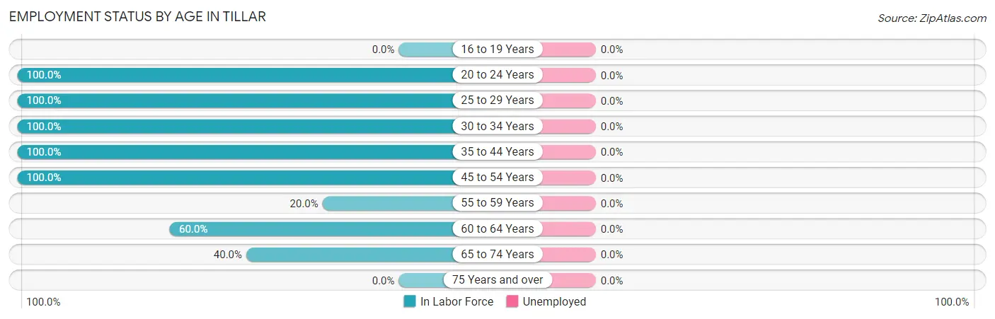 Employment Status by Age in Tillar