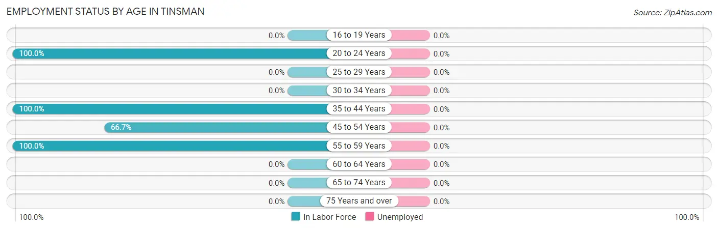 Employment Status by Age in Tinsman