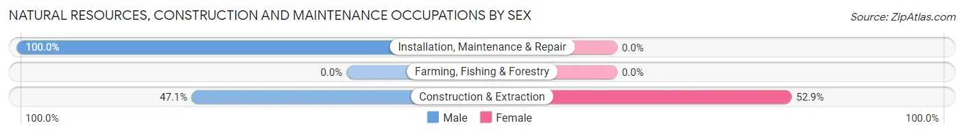Natural Resources, Construction and Maintenance Occupations by Sex in Traskwood