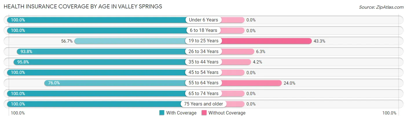 Health Insurance Coverage by Age in Valley Springs