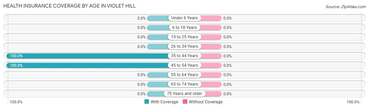 Health Insurance Coverage by Age in Violet Hill