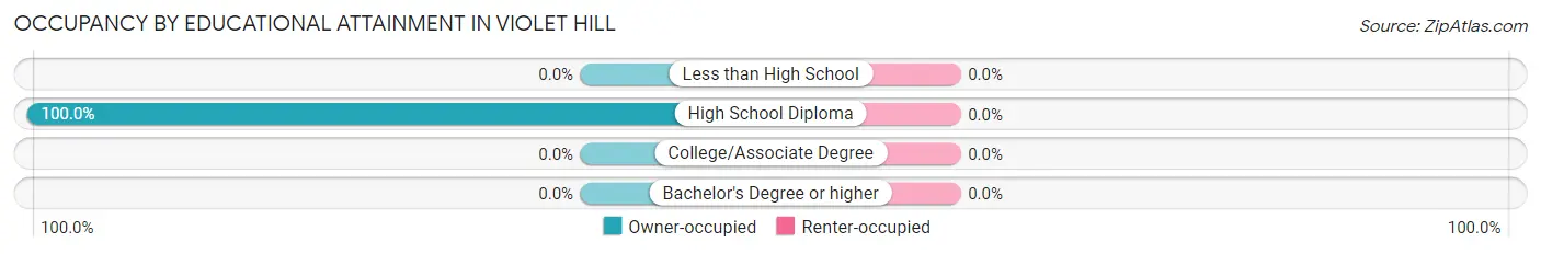 Occupancy by Educational Attainment in Violet Hill