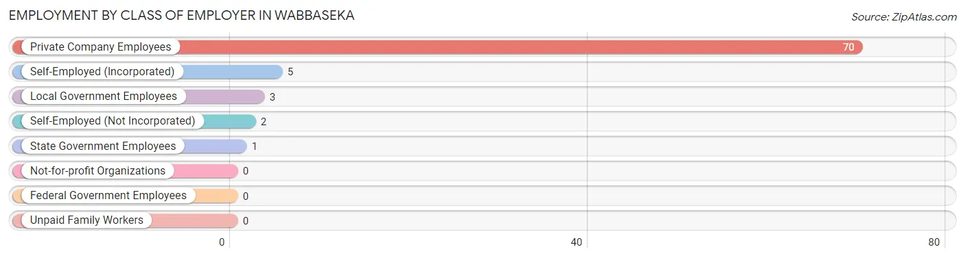 Employment by Class of Employer in Wabbaseka