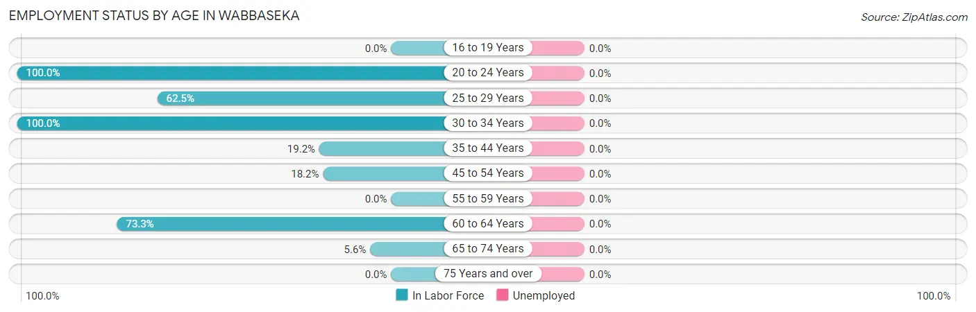Employment Status by Age in Wabbaseka