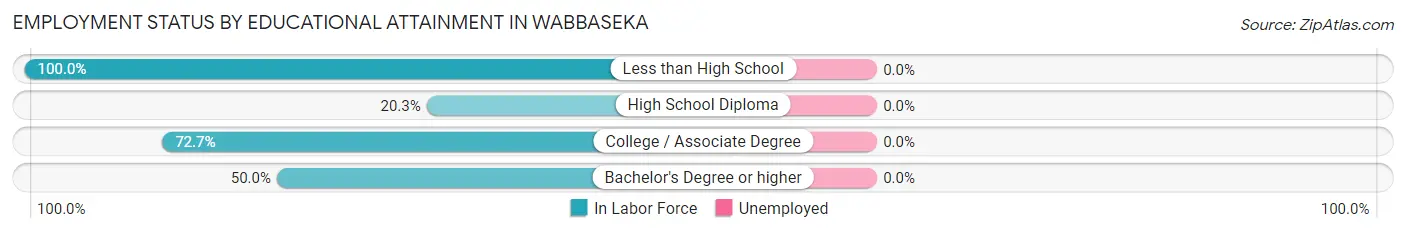 Employment Status by Educational Attainment in Wabbaseka