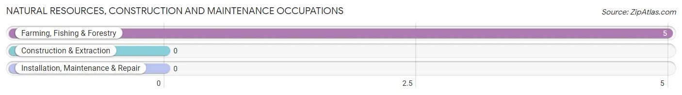 Natural Resources, Construction and Maintenance Occupations in Wabbaseka