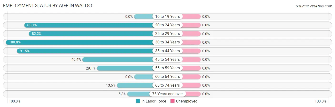 Employment Status by Age in Waldo