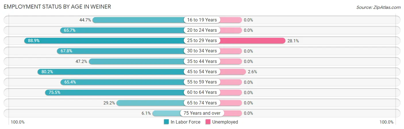 Employment Status by Age in Weiner