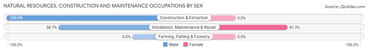 Natural Resources, Construction and Maintenance Occupations by Sex in West Fork