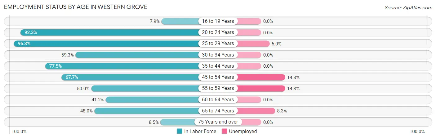 Employment Status by Age in Western Grove