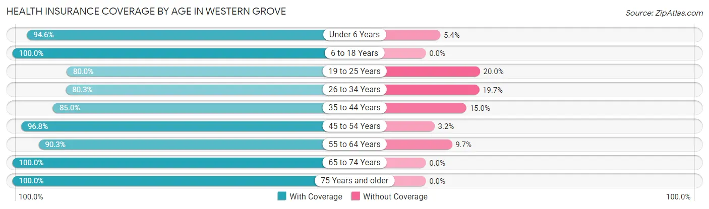Health Insurance Coverage by Age in Western Grove
