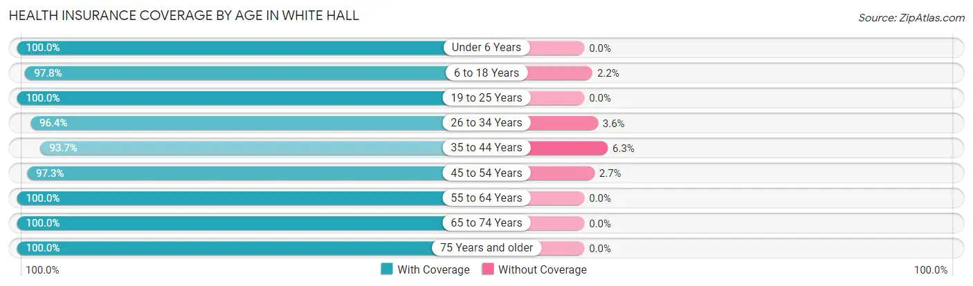 Health Insurance Coverage by Age in White Hall