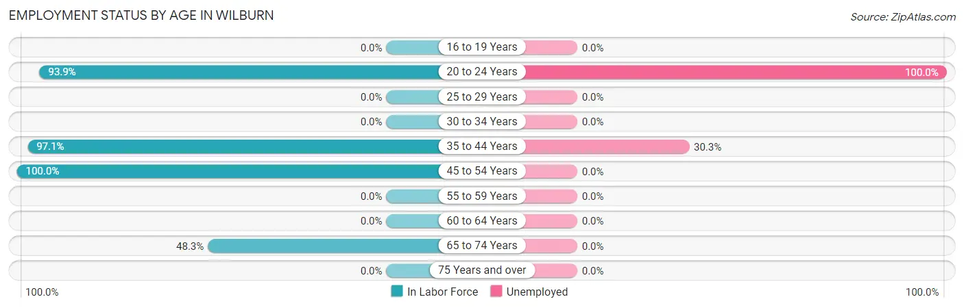 Employment Status by Age in Wilburn