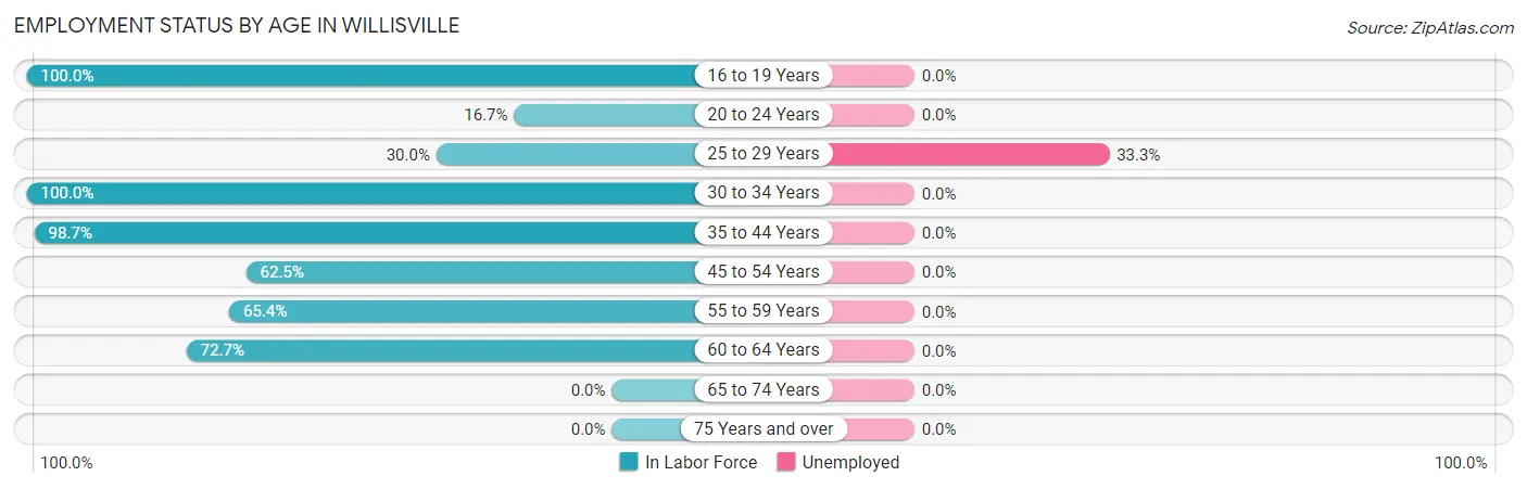 Employment Status by Age in Willisville