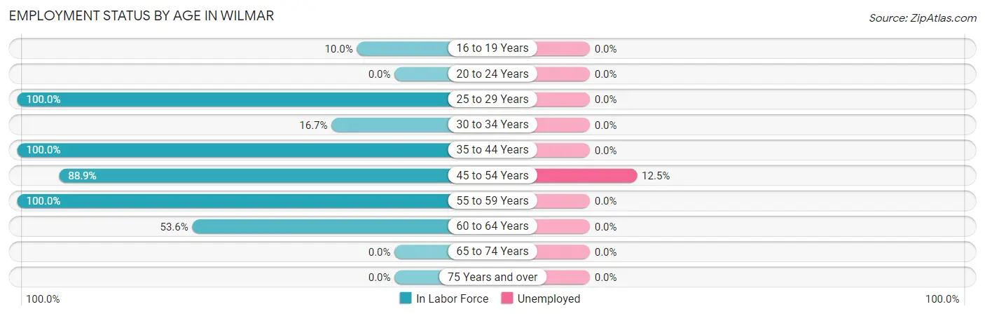 Employment Status by Age in Wilmar