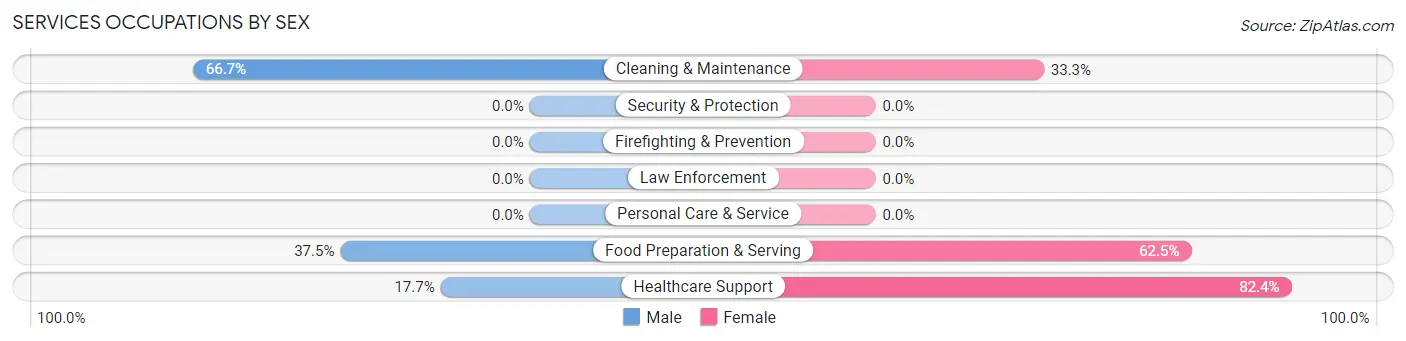 Services Occupations by Sex in Wilton