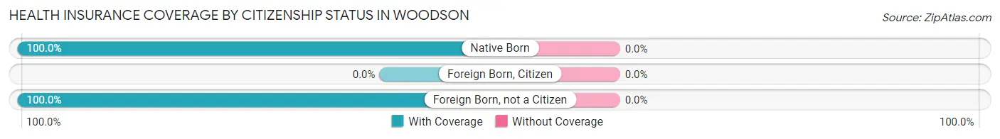 Health Insurance Coverage by Citizenship Status in Woodson
