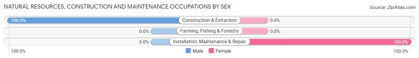 Natural Resources, Construction and Maintenance Occupations by Sex in Woodson