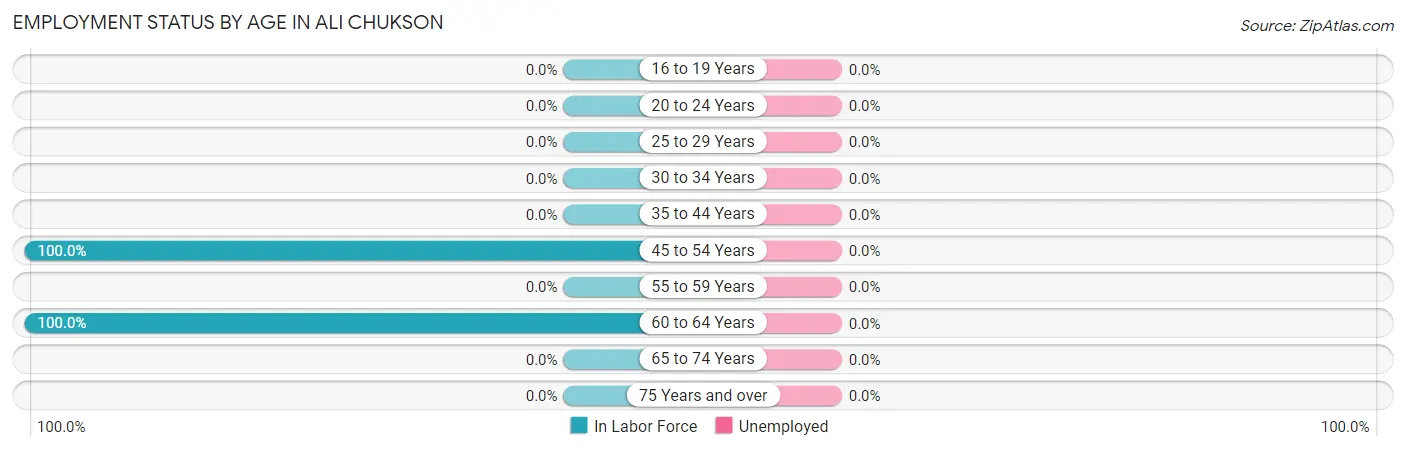 Employment Status by Age in Ali Chukson