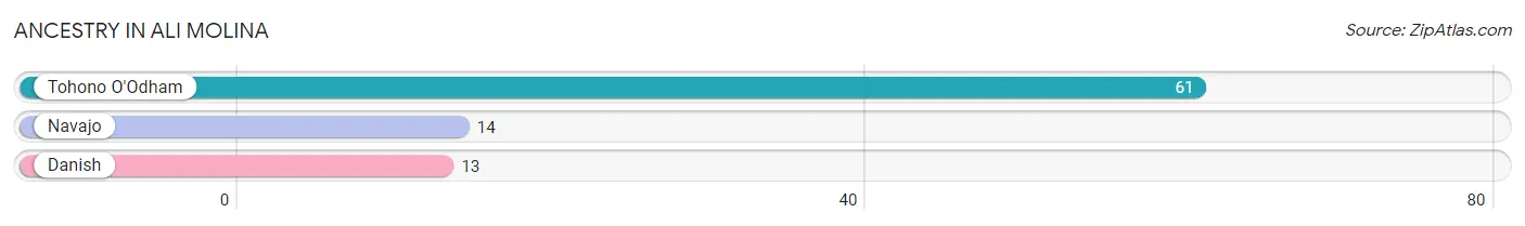 Ancestry in Ali Molina