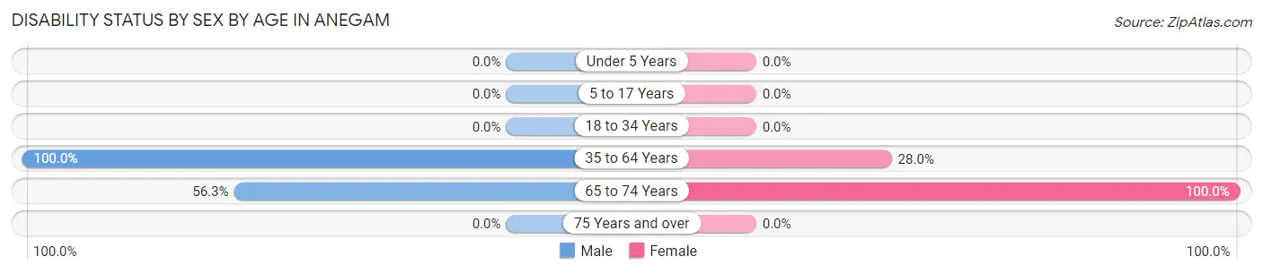 Disability Status by Sex by Age in Anegam
