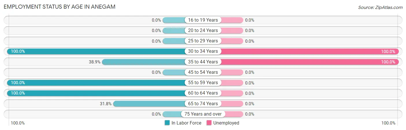 Employment Status by Age in Anegam