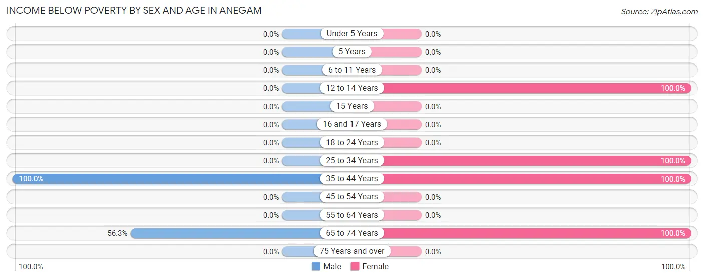 Income Below Poverty by Sex and Age in Anegam