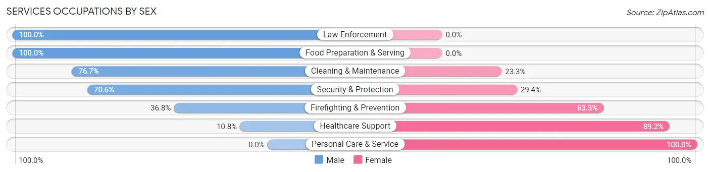 Services Occupations by Sex in Arizona City