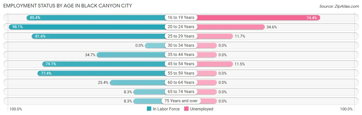 Employment Status by Age in Black Canyon City