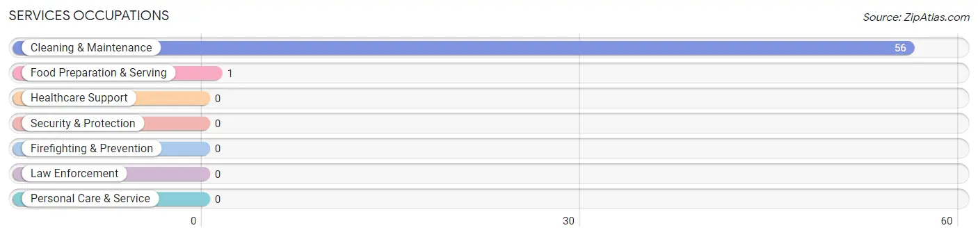 Services Occupations in Bouse