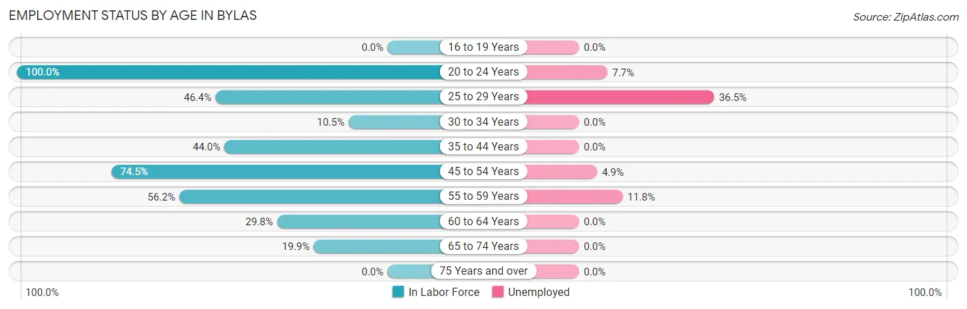 Employment Status by Age in Bylas