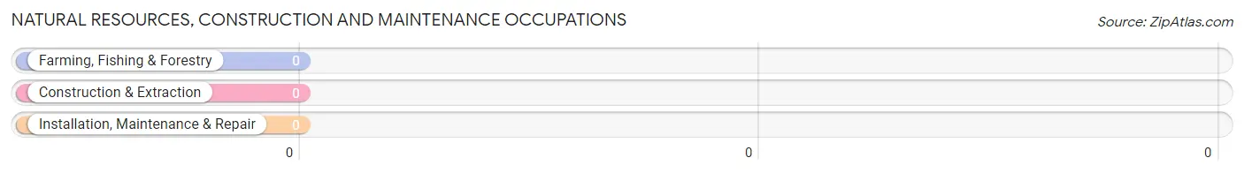 Natural Resources, Construction and Maintenance Occupations in Chloride