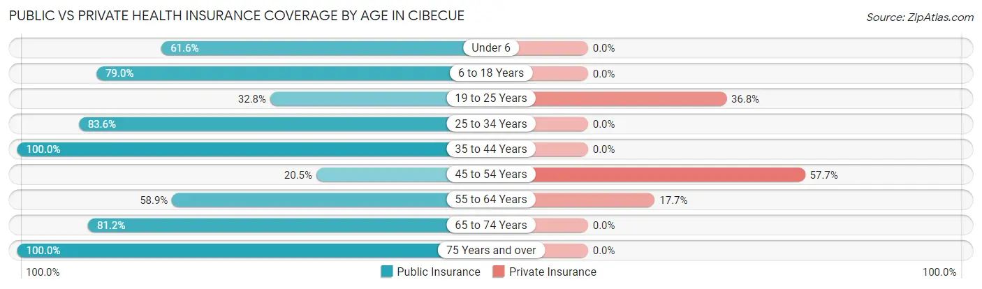Public vs Private Health Insurance Coverage by Age in Cibecue