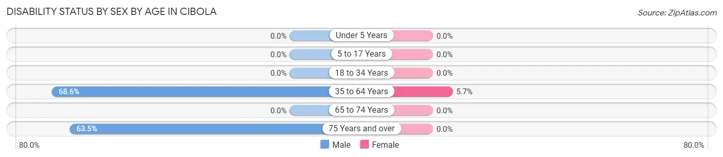 Disability Status by Sex by Age in Cibola