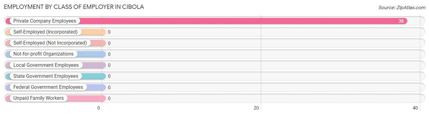 Employment by Class of Employer in Cibola